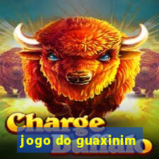 jogo do guaxinim